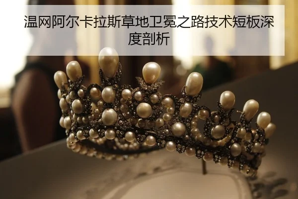 wen-wang-a-er-ka-la-si-cao-di-wei-mian-zhi-lu-ji-shu-duan-ban-shen-du-pou-xi-2-142.jpg