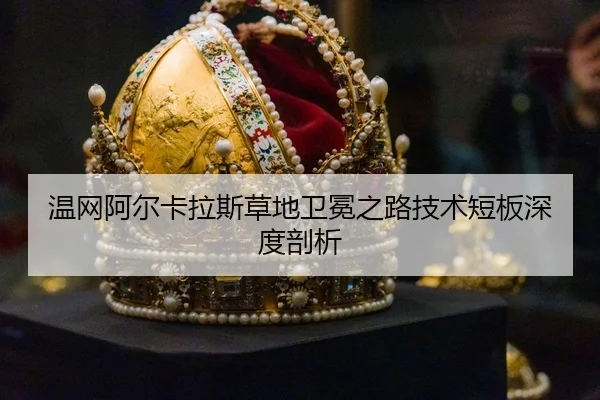 wen-wang-a-er-ka-la-si-cao-di-wei-mian-zhi-lu-ji-shu-duan-ban-shen-du-pou-xi-3-840.jpg